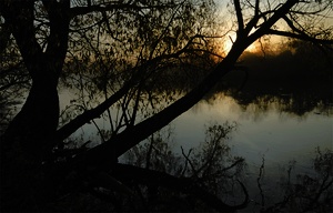 Regnitz am Morgen