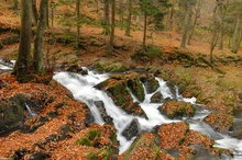 Herbstlicher Wasserfall