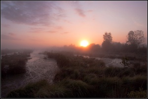 Verwunschenes Moor