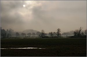 Die Sonne löst den Morgennebel auf