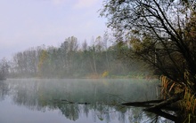 Aulandschaft am Morgen