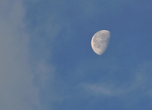 Mond