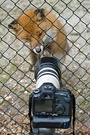 Canon ?  Zeig mal her das Teil