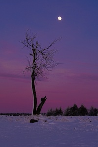 Beginn einer langen, kalten Winternacht