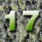 Nr 17