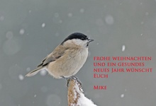 Frohe Weihnachten und ein gesundes neues Jahr