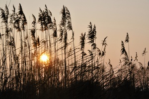 Abend am See