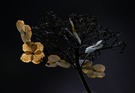 Hortensie