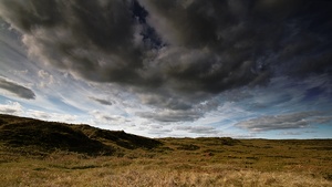 Dünen in Holland