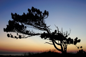 Aller Tage Abend...