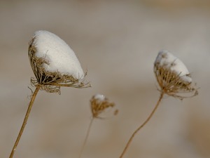 Winterbild