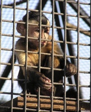 Hinter Gittern