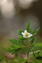 Mit Schwung in den Frühling!