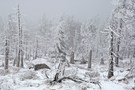 Winter auf dem Brocken