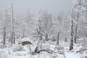 Winter auf dem Brocken