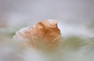 Winterfarben