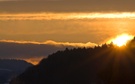 Er brennt der Wald......