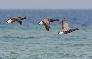 Über die Ostsee...