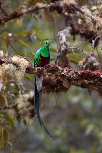 Ein bißchen Farbe