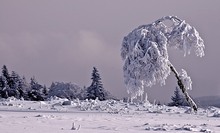 Winter am Kahlen Asten