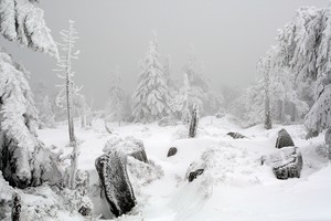 Winter auf dem Brocken