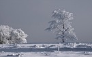 Winter auf dem Kahlen Asten