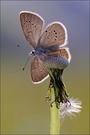 ~ I believe I can fly ~