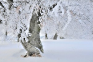 ~ Winter-Gemälde ~