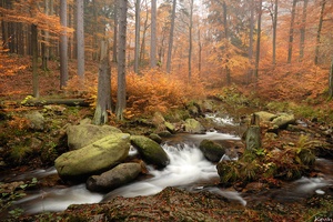 Herbststimmung  im Ilsetal