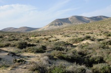 Fuerteventura I