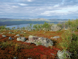 spätsommer in saltoluokta