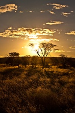 Namibian sunset