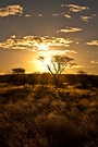 Namibian sunset