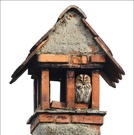 ein Zuhause