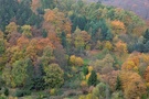 Indian Summer