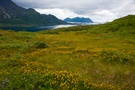 Auf den Lofoten