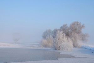 *Winter-Elbhochwasser*