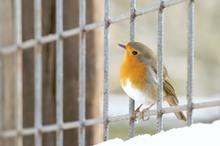 Besuch im Zoo