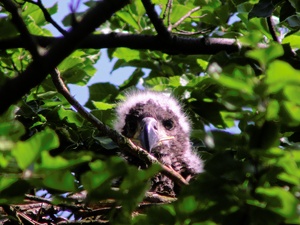 Bald ist es wieder so weit ...