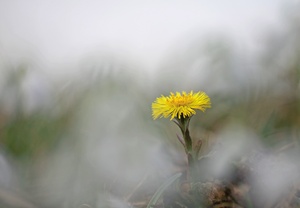 In den Wolken schweben