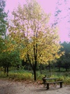 Herbst