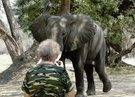 Sigi und die Elefanten am Lower Zambezi - Zambia