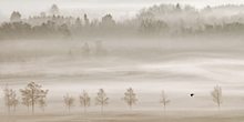 Frühjahrsnebel im Donautal