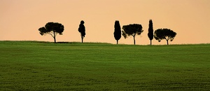 Evening colors of Tuscany