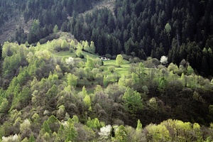 Landschaft im Bergell