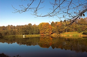 Am Wingertsweiher