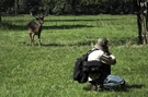 ich@work [ZO]