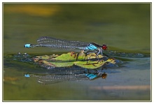 Spieglein, Spieglein...