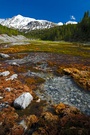 Parc Natiunal Svizzer - Buffalora