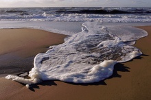 Am Strand von Sylt